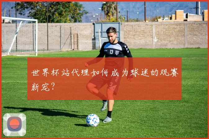 世界杯站代理如何成为球迷的观赛新宠？