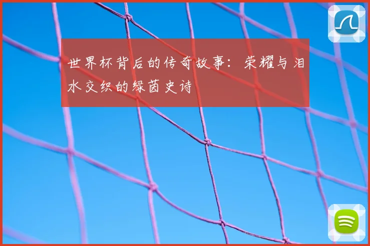 世界杯背后的传奇故事：荣耀与泪水交织的绿茵史诗