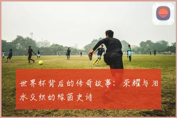 世界杯背后的传奇故事：荣耀与泪水交织的绿茵史诗