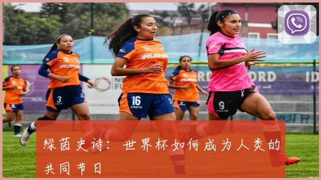 绿茵史诗:世界杯如何成为人类的共同节日