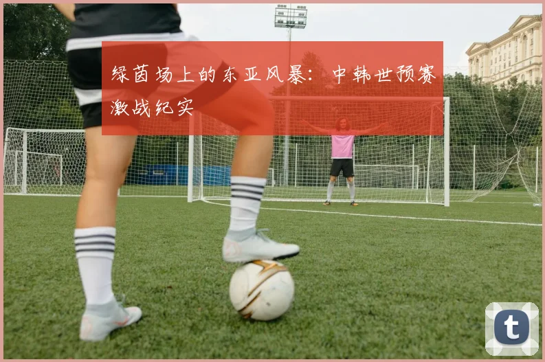 绿茵场上的东亚风暴:中韩世预赛激战纪实