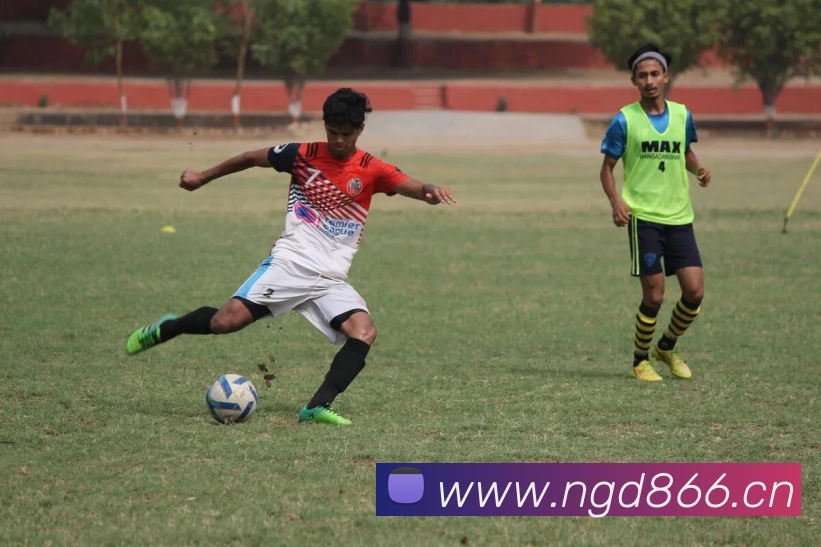 星空网页版入口平台生态图